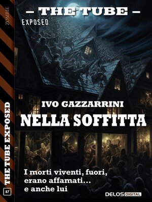 cover image of Nella soffitta